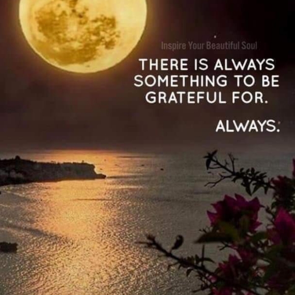 Meet your Posher, Dacia - Picture 2 of 8